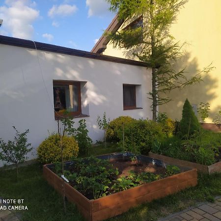 Apartament Gniezno - Mnichowo Exterior photo