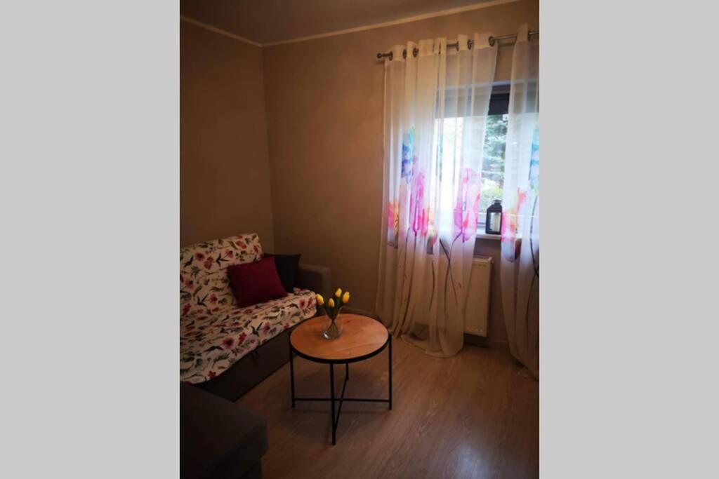 Apartament Gniezno - Mnichowo Exterior photo